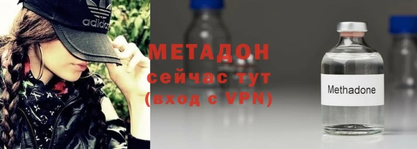 сатива Белокуриха
