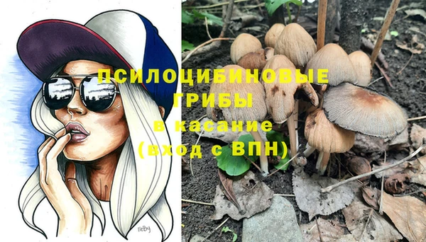сатива Белокуриха