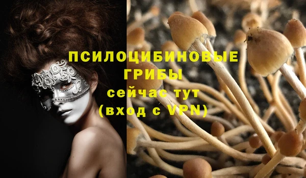 сатива Белокуриха