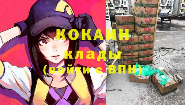 сатива Белокуриха