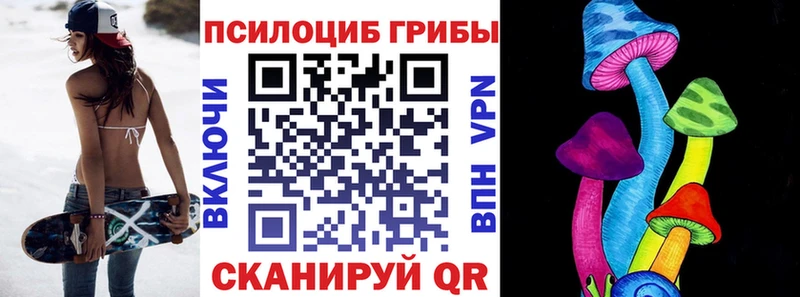 Псилоцибиновые грибы GOLDEN TEACHER  ОМГ ОМГ зеркало  Бокситогорск  как найти  